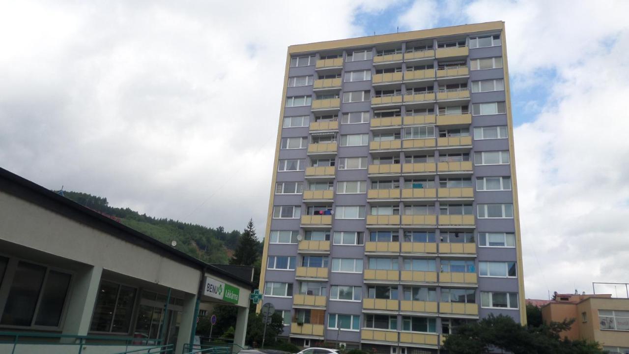 Byt S Jedinecnym Vyhledem Decin Buitenkant foto